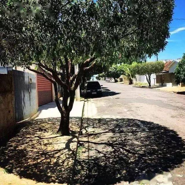 35张不可思议的影子照片 阴影