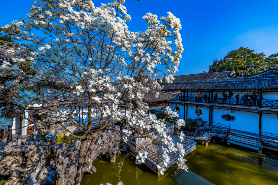 文章配图-5