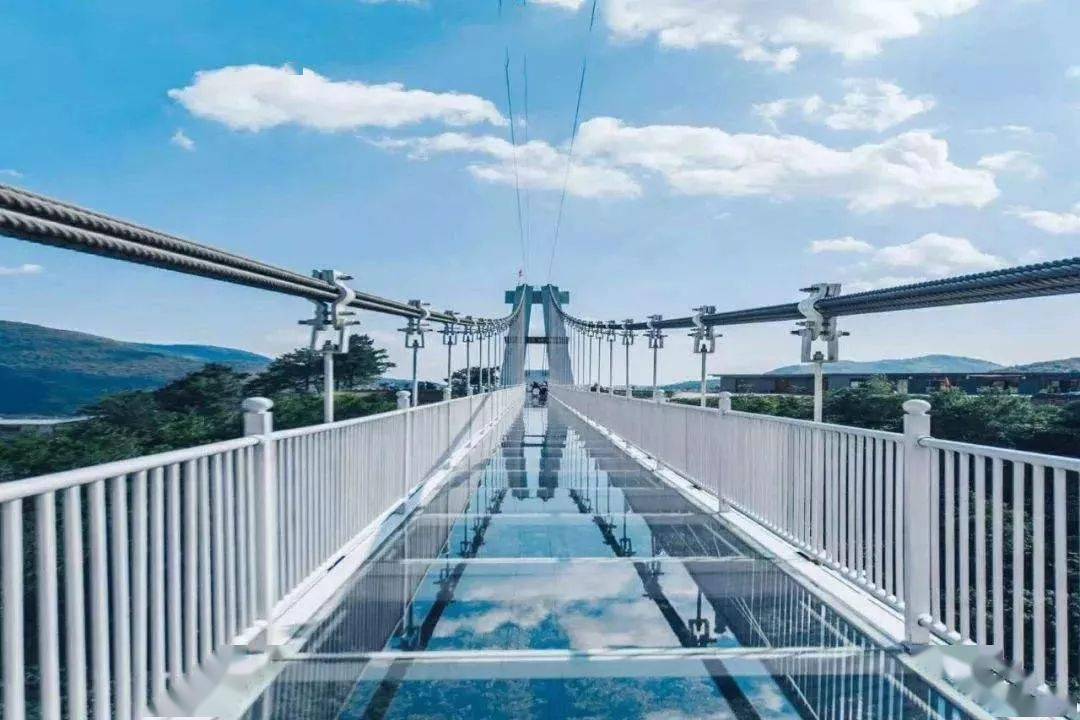 云上草原529打卡安吉网红悬崖秋千水晶廊桥天空之阶欢迎团队定制