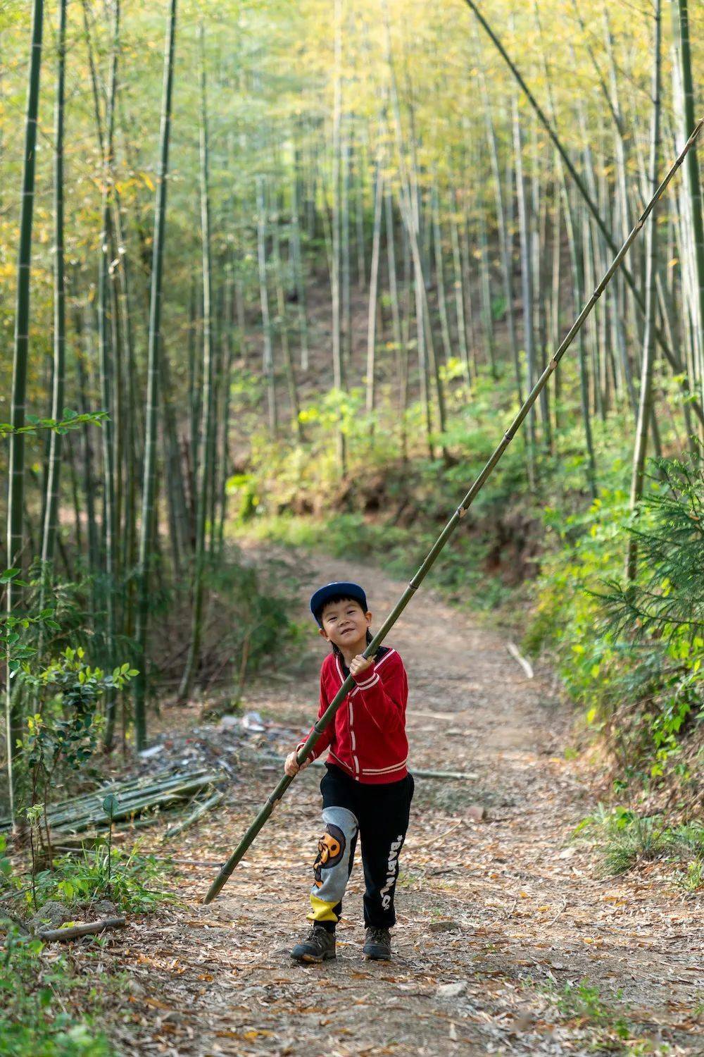 小童搞野图片