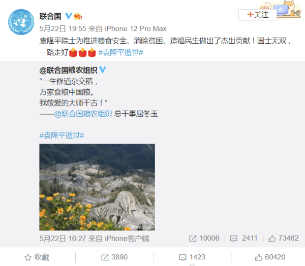 奎因|【中国那些事儿】国际社会缅怀袁隆平：他是造福世界的中国科学家
