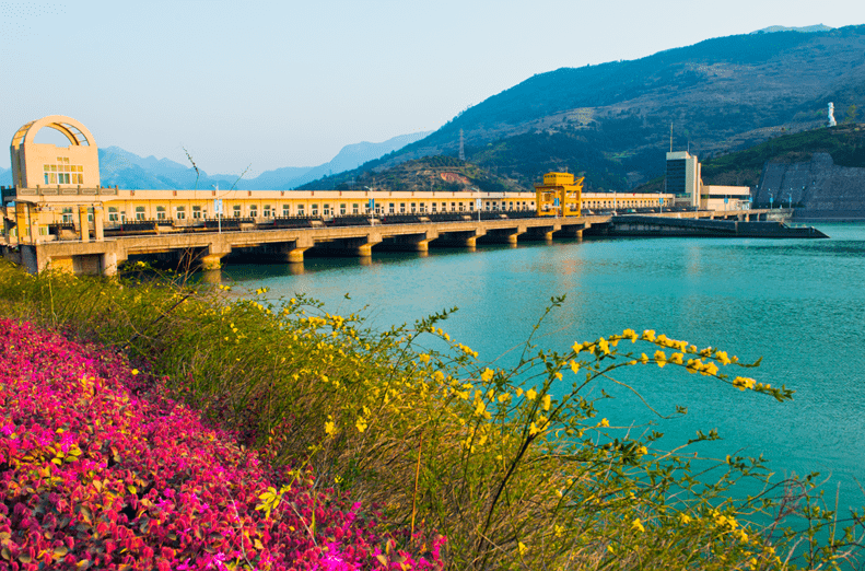 温州市水库安全度汛大排查大整治专项行动