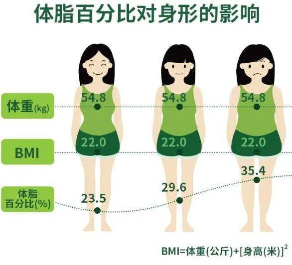 女性体脂率图片对比表图片