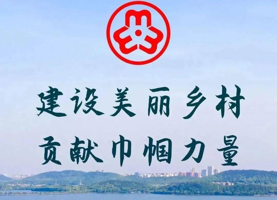 【倡议书】巾帼共建美丽庭院 助力环境"十乱"整治倡议书