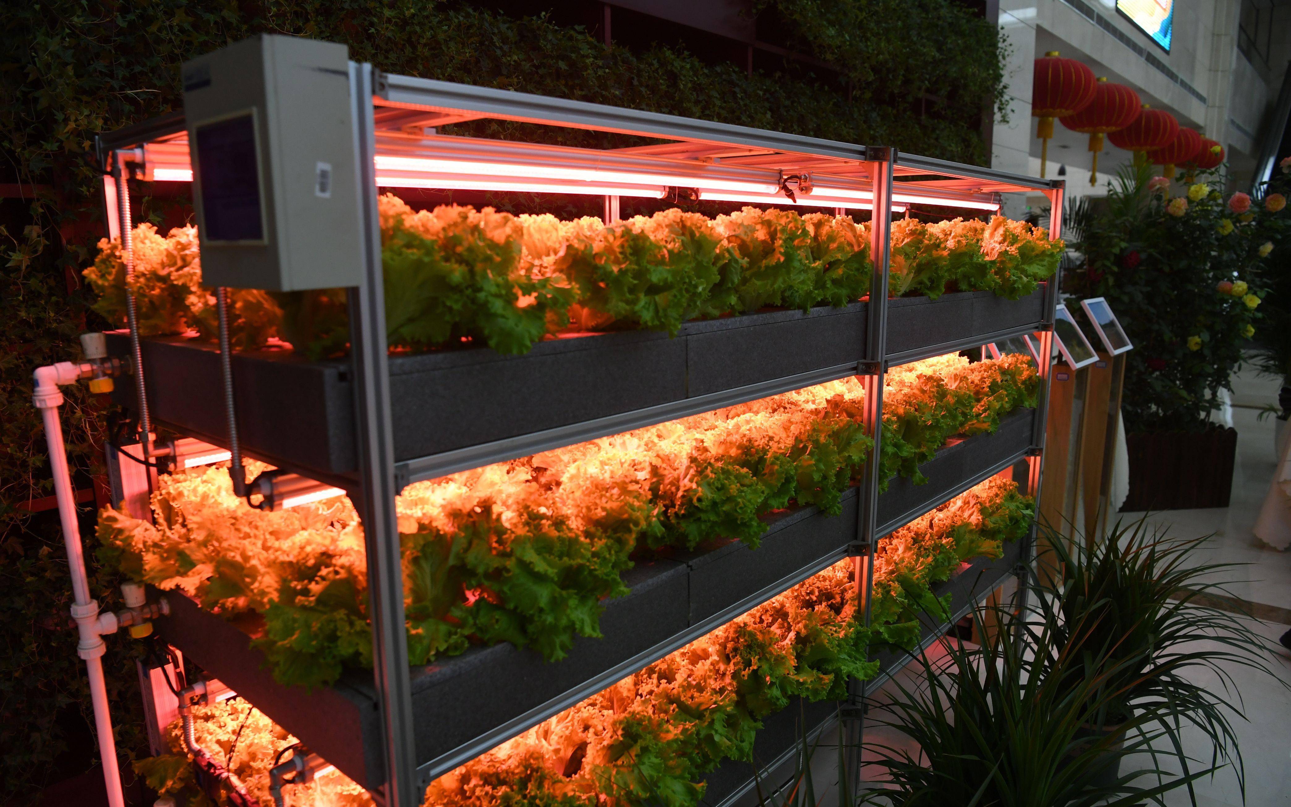 了解现代农业的模样中国农科院34个单位展示农业科技成果