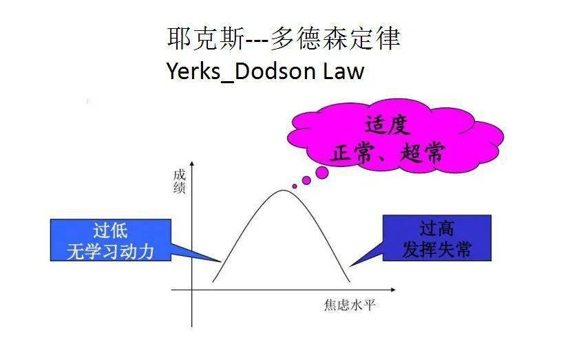 耶克森多德森定律图片