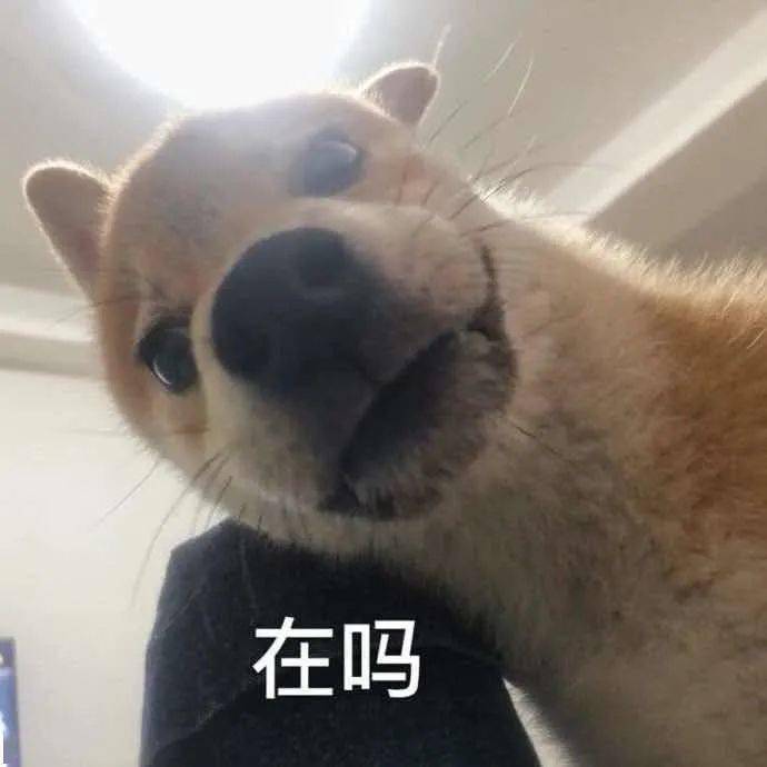 dfa4481d9eff4663a0eda9f2aee65a4e.jpeg