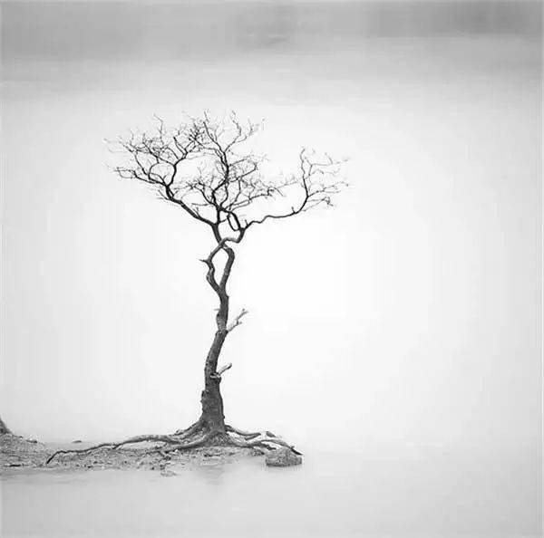 留白的境界!_意境