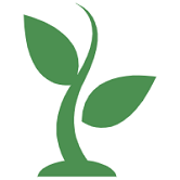 树苗成长计划——微软等你来珠联璧合!_中小企业