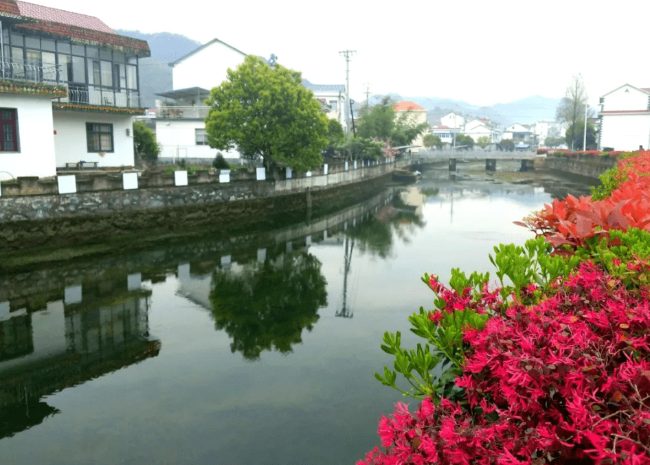 砥砺奋进新时代石台县丁香镇五年来经济社会发展纪实