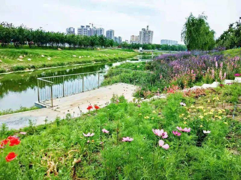 上蔡"五里肖",河边花枝俏