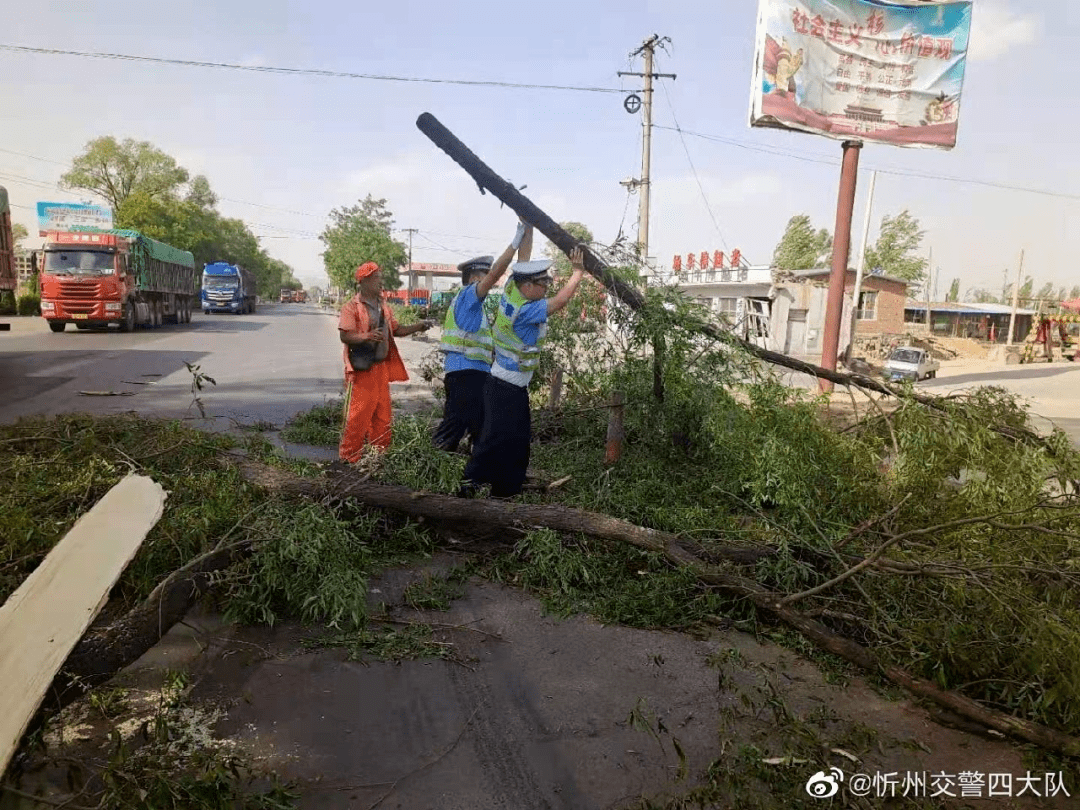 忻州:今天一场大风刮倒树木!交警采取应急措施..._进行