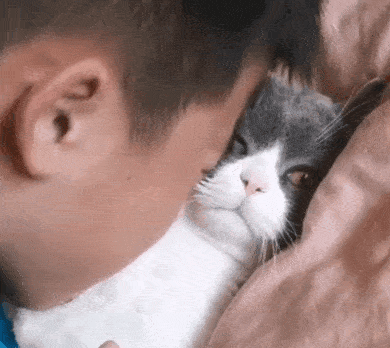 我大吸了一口猫咪竟然是xx味的