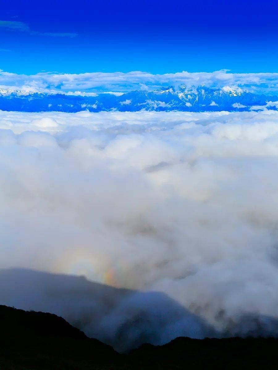 900_1200竖版 竖屏