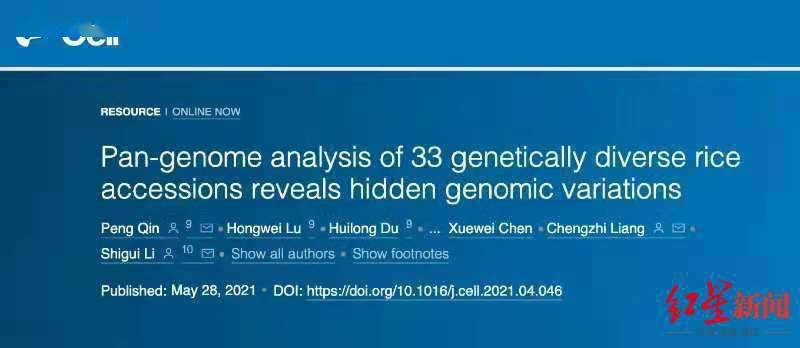 团队|Cell发文！川农大中科院团队联手揭示水稻基因组中的“隐藏”变异