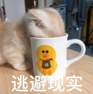 40a1fa7e43484d8db69bb4a8e9774fdb.png