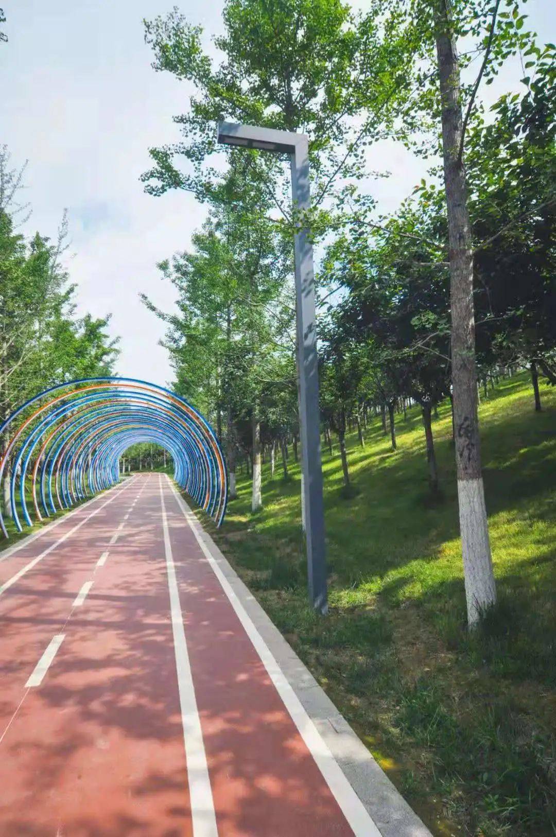 曲江63雁塔63高新最美自行车专用道即将通行