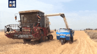 夏种的顺利进行,其中小麦联合收割机将超过60万台