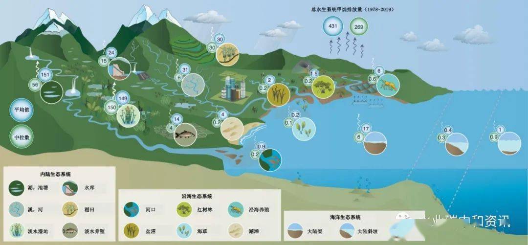 在"碳中和"构建背景下,如何发挥人工湿地作为污水处理技术的生态优势