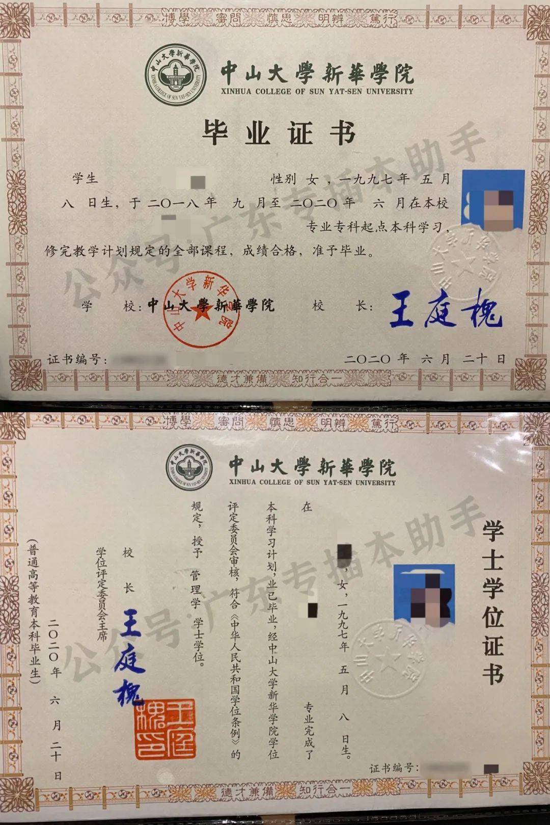 三年前他们插本成功如今已经毕业了我们采访了11位专插本毕业生