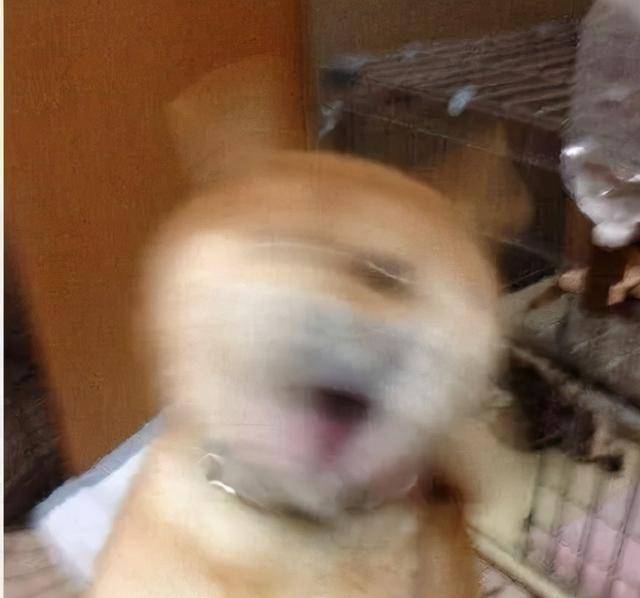 a2b029672f884d5d877779b425f78b01.jpeg
