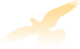 a5f48f9b115b45b68a341a235a3c273a.png