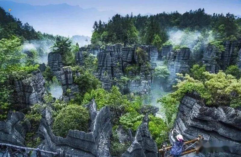 屏山县属于哪个市 bd16751ed38f4c9fa9db294d70d963dc.jpeg