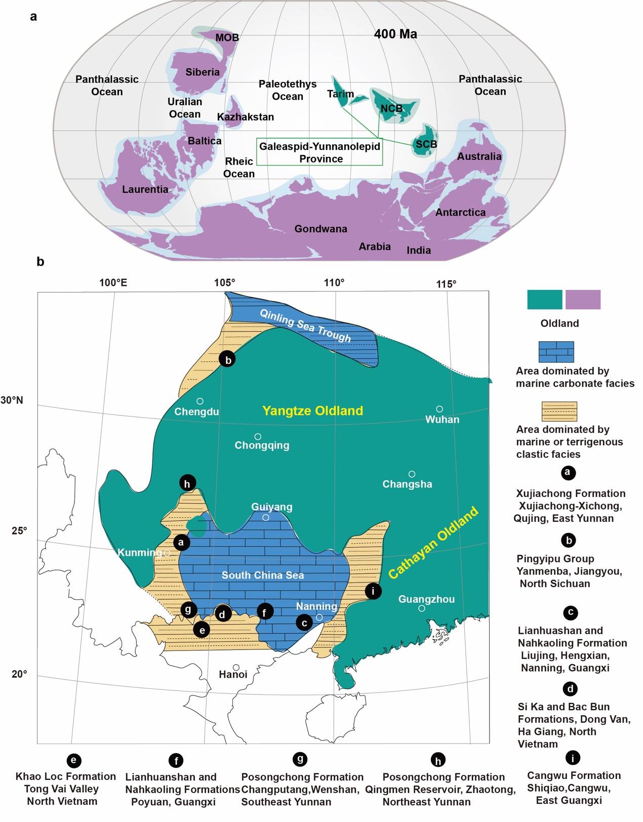 华南|云南曲靖发现4.1亿年前“游动”的三叉戟，名为长吻三岐鱼