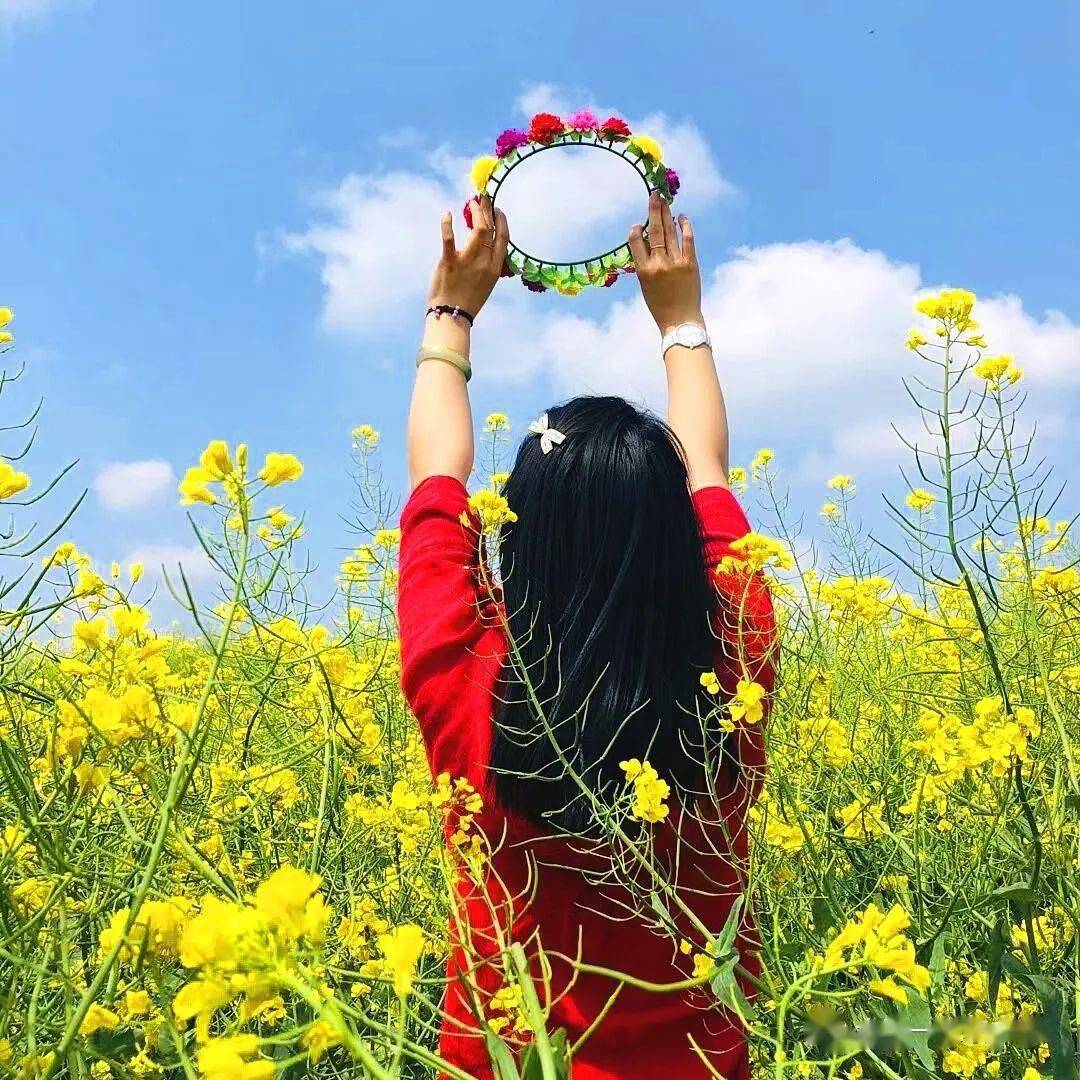 6月9日周三金州紫色 黄色油菜花海 婚庆基地美拍1日游 活动