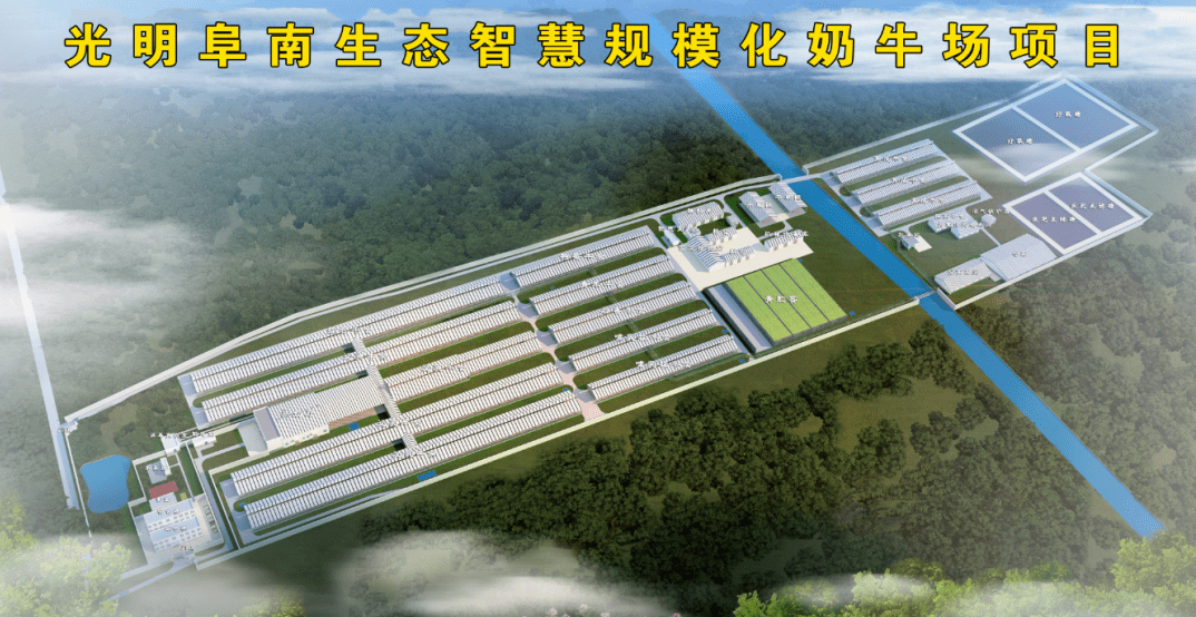 上市企业,来阜阳建奶牛场