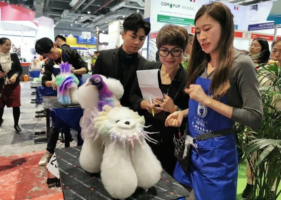 4 cgla 宠物行业职业技能大赛比赛分类:犬赛展会同期活动(西安)宠物