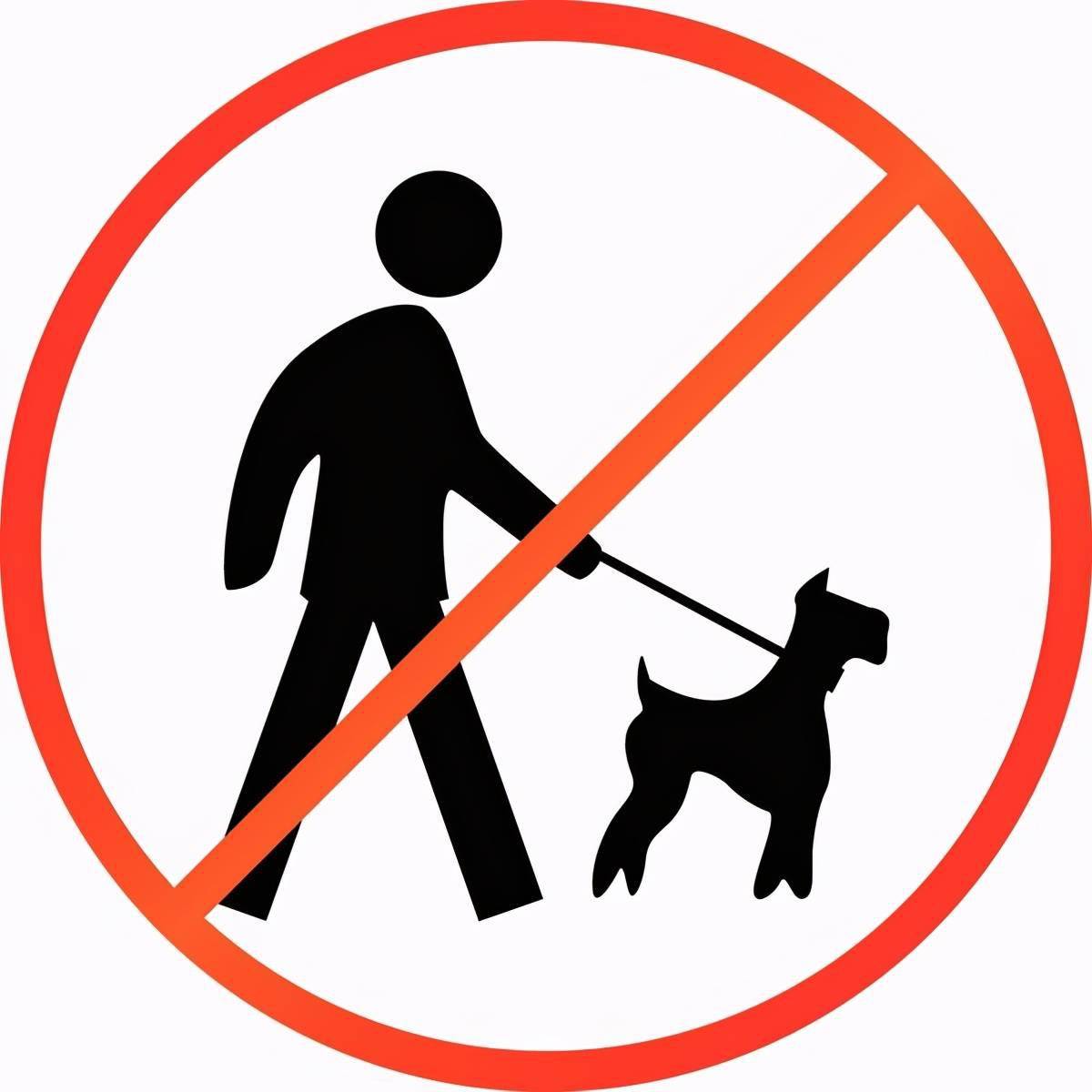 热点德州市民养犬整治不是整治养犬