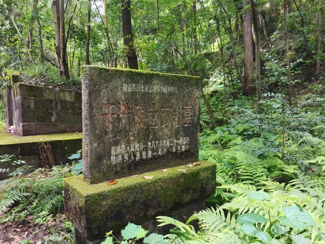 遂宁十大革命文物青山有幸埋忠骨于渊烈士墓
