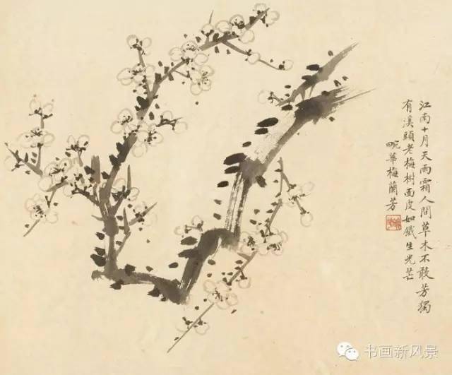 梅兰芳的这30幅花鸟、20幅书法！绝美！值得收藏！_搜狐网