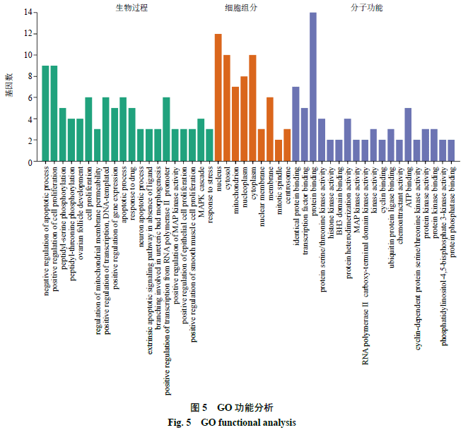 柴胡GDP