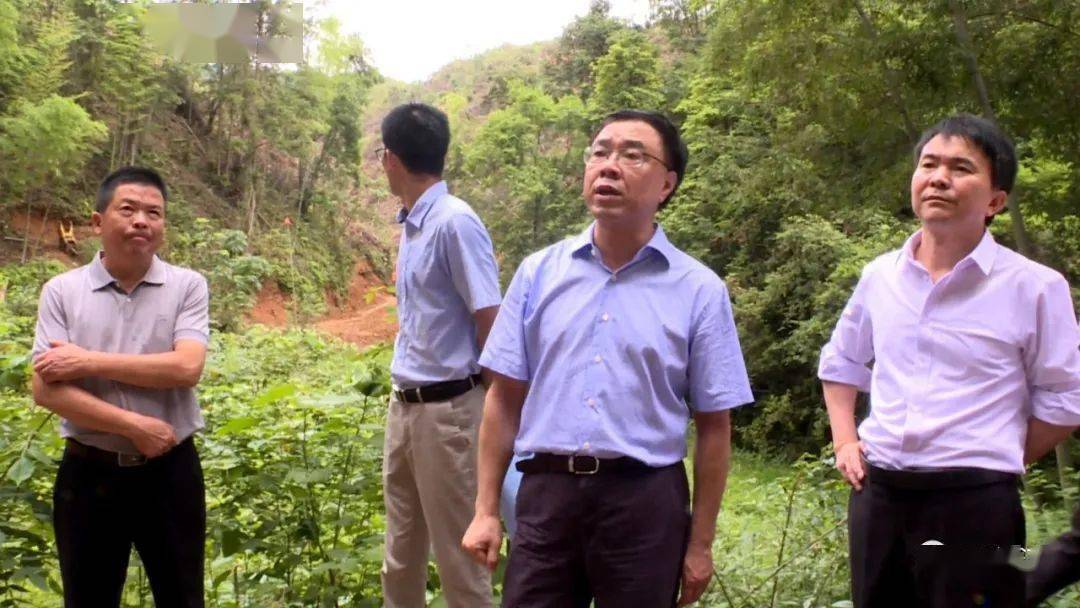 长汀县长马水清带队开展垃圾焚烧发电项目调研~加快推进项目建设……_