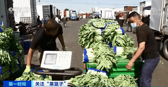 降 降 降 哈尔滨人离不开的它一周降 还会再降吗 蔬菜
