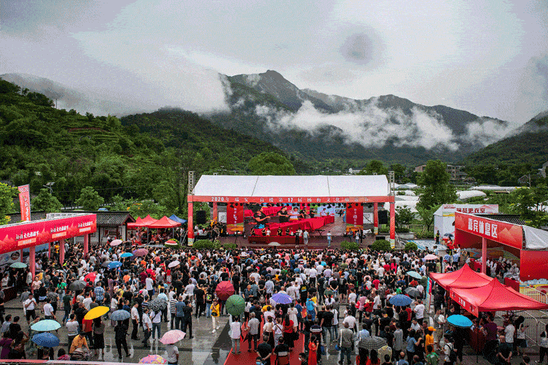 2021瑞安市第18届高楼杨梅文化节暨高楼全域旅游节开幕式将于6月6日在