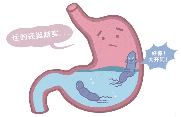 600_390gif 动态图 动图