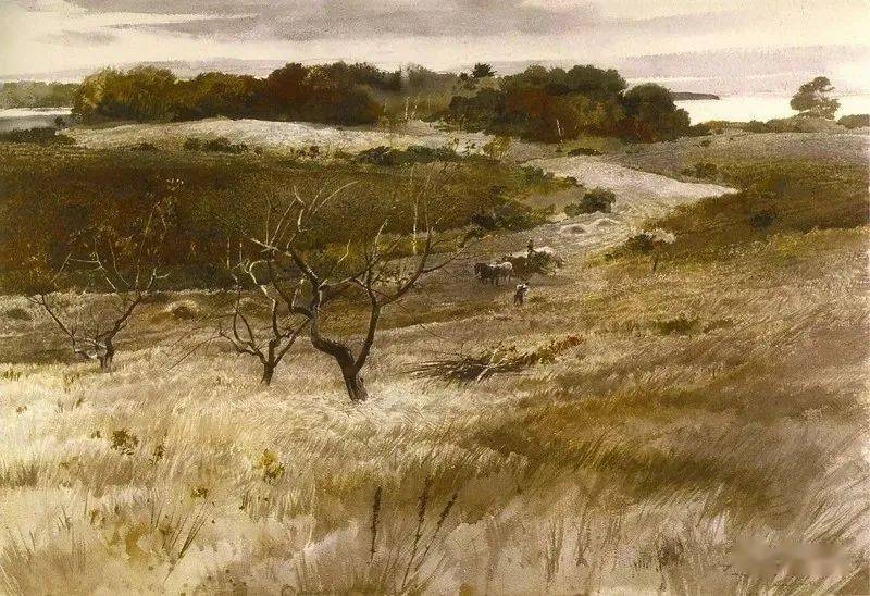 写生啦安德鲁怀斯丨故乡的树