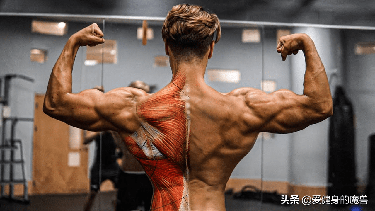 大神超级倒三角训练计划:练背也促睾?_背部