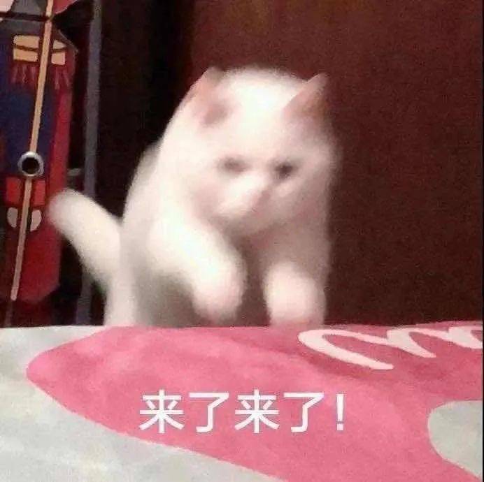 028eef291184401591ea1ef9701d1421.jpeg