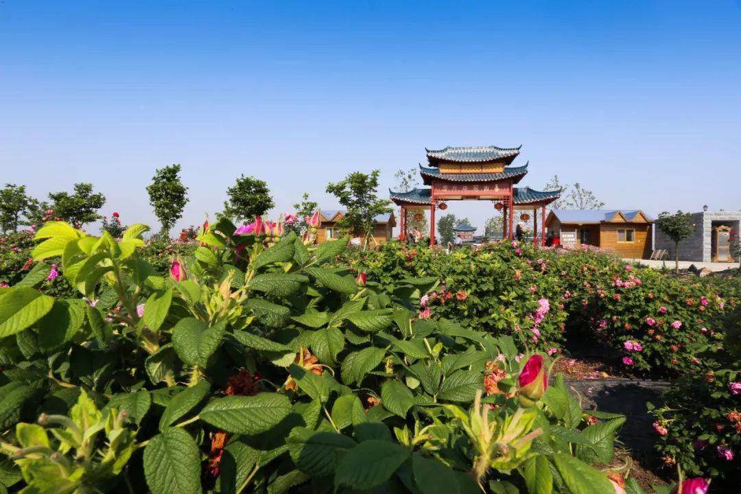 台山：假期乡村游的宝藏之地，三个全国乡村旅游重点村等你来