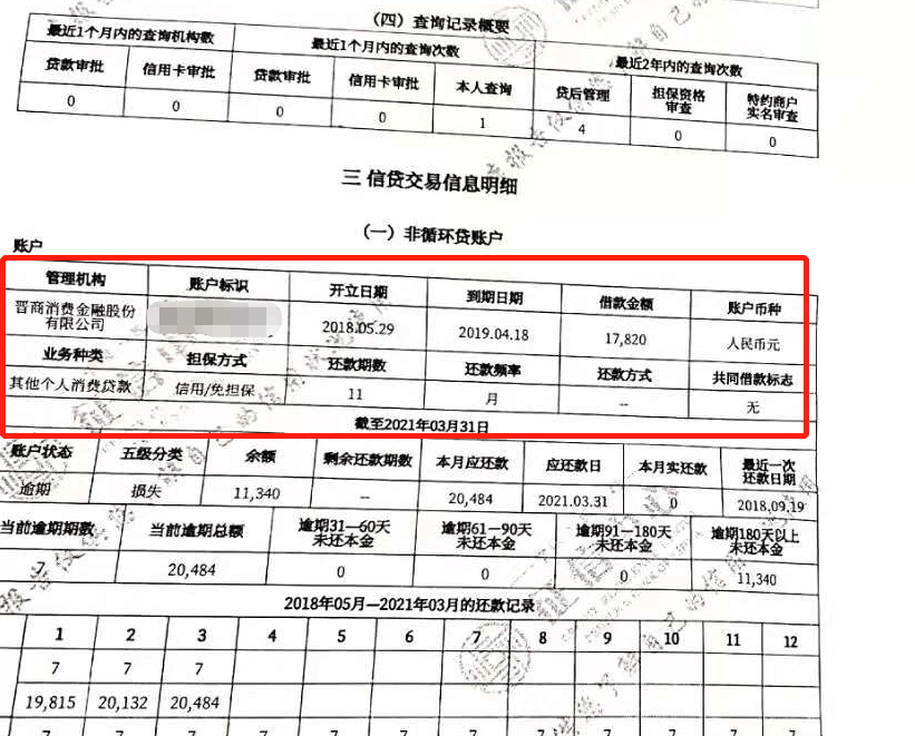 徵信報告曾現侮辱字眼