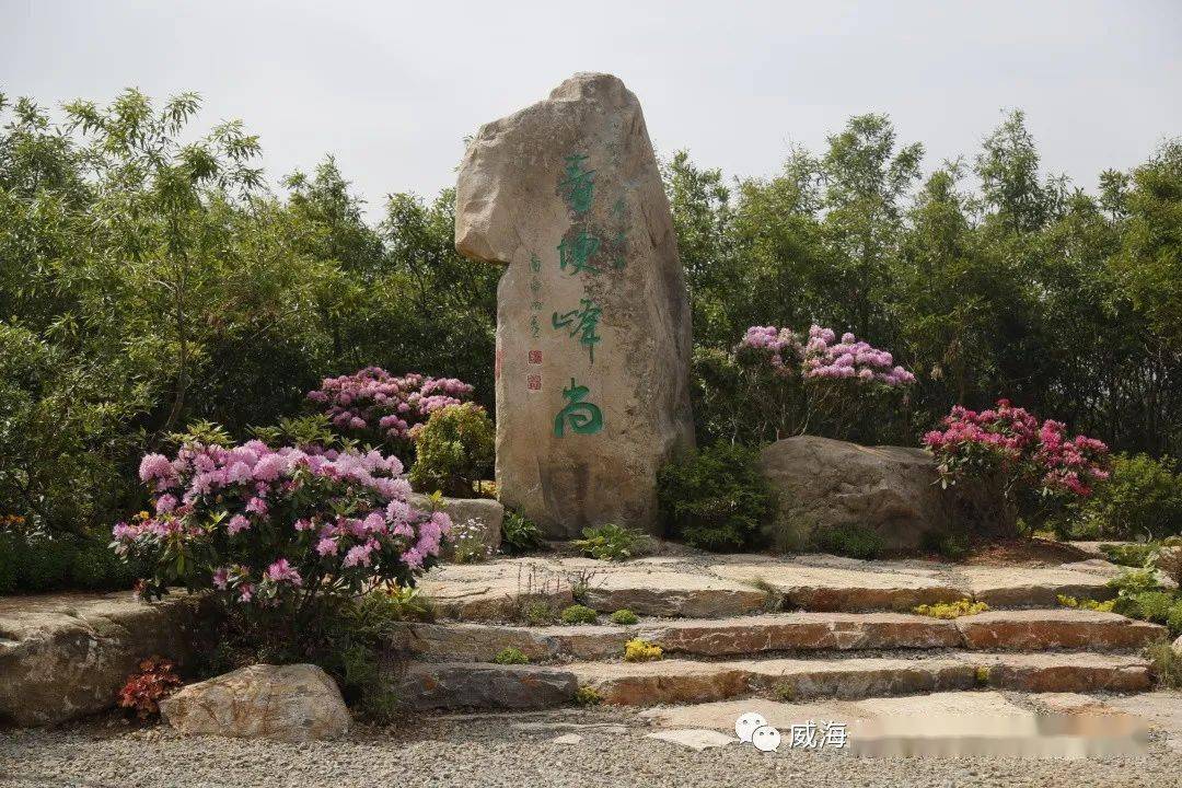 保持热爱奔赴山海青埂峰尚一周年记