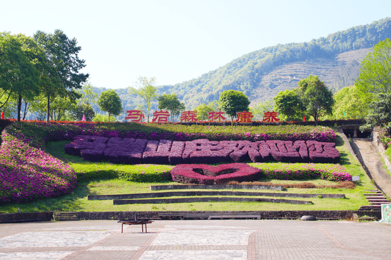 沙县舞蹈招聘网站_2021年3月份沙县招聘信息