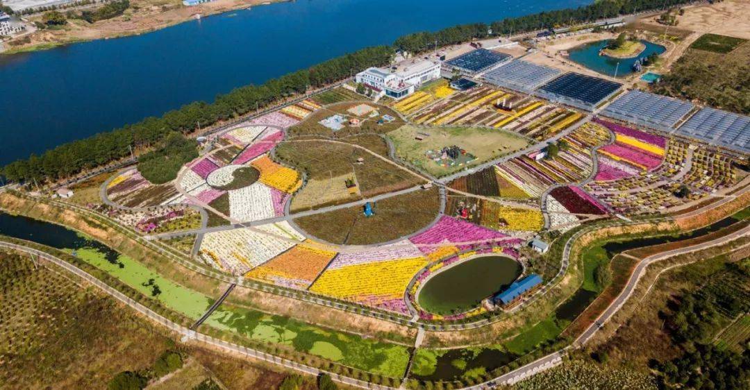 孝顺渔歌小镇为省aaa级旅游景区,除了花海,这里还有花雕造型,巨型卡通