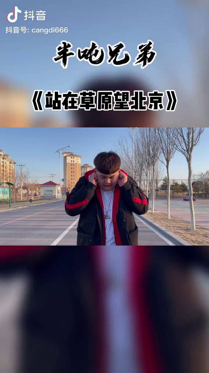 瓦蓝蓝的天上飞老楞我在东北眺望北京站在草原望北京东北版