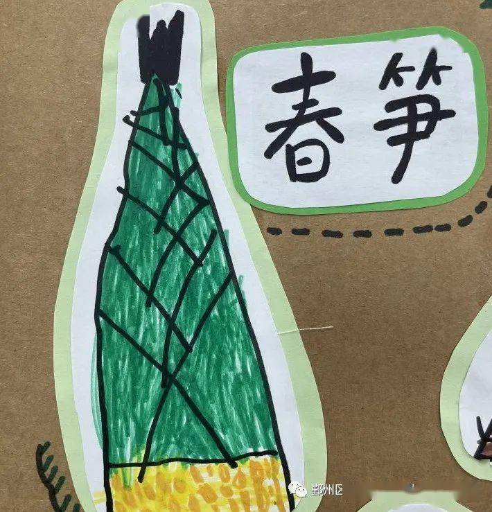 笋芽尖尖——鄞州区云天实验幼儿园(格兰园)中一班项目课程_笋壳