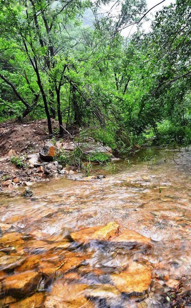 这是一处还保持着原生态的峡谷,您可以玩水,踏石,避暑,关键还免费!